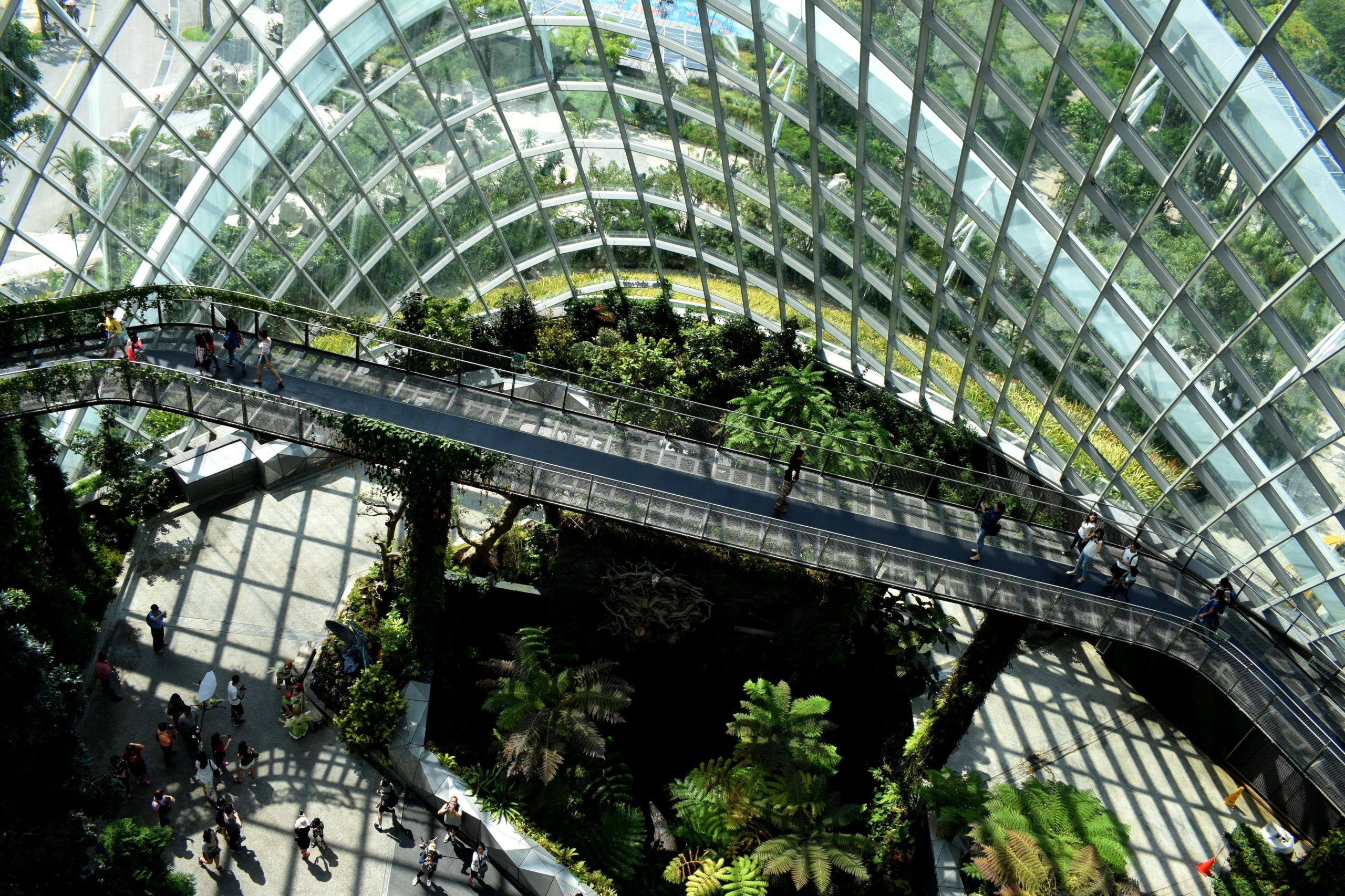 Der Solarpunk sagt Hallo!